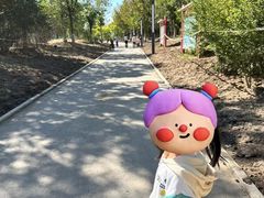 -天津东丽湖风景区