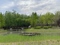 -翠湖国家城市湿地公园