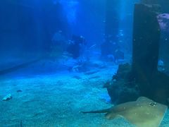 -石家庄海洋公园