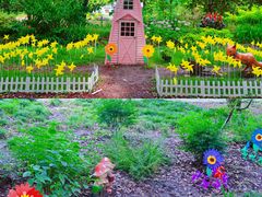 -上海共青森林公园