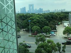 -苏州金鸡湖文博诺富特酒店