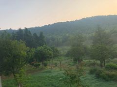 -苏州环秀晓筑养生度假村