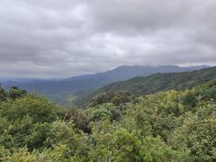 -大余丫山旅游度假区