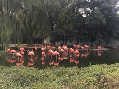 -石家庄市动物园