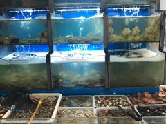 水产区-老东镇啤酒屋海鲜加工·蒸汽海鲜·海鲜烧烤(台东店)