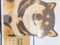 -柴迷FANS CLUB·柴犬狗咖·猫咖