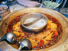 瑶柱菌王鸳鸯锅底-哥老官重庆美蛙鱼头(虹口龙之梦店)