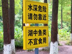 -重庆彩云湖湿地公园