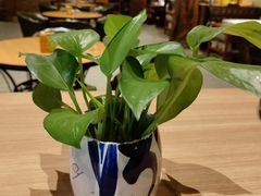 -金筷子西北菜·捞悦火锅
