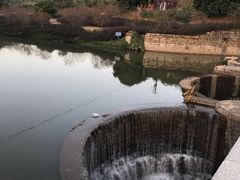 -金鸡山公园