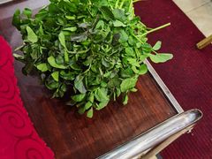 -光明清汤羊(宝业路店)