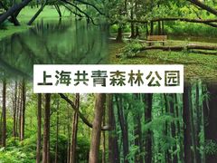 -上海共青森林公园