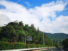 -海南热带雨林国家公园吊罗山景区