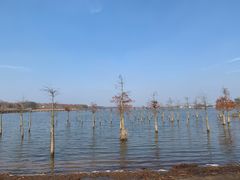 -南京枫彩漫城