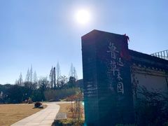 -鲁镇