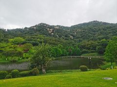 -厦门国家会计学院