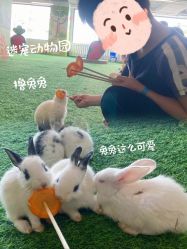 -欢乐舟·舟舟玩乐园