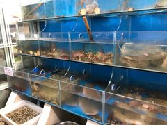 水产区-宾朋海鲜特色美食餐厅·纯手工鲅鱼水饺(兴海路店)