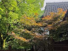 -中国茶叶博物馆(双峰馆区)