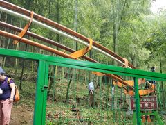 -藏龙百瀑风景区