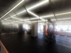 -健身专家Wellness Experts