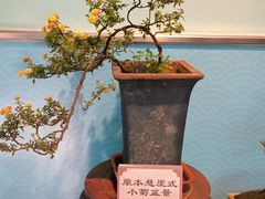 -陶然亭公园