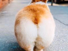 -川里谈·川味小馆(北京路店)