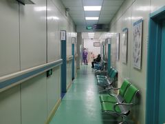 -北京观赏动物医院·24小时大型综合·猫专科·异宠专科