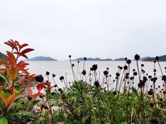 -东海半边山旅游度假区