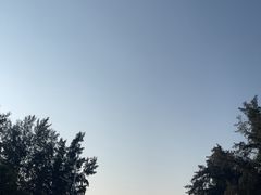 -万尾金滩