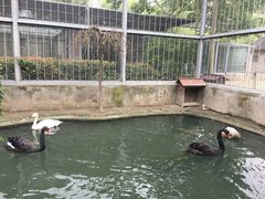 -水绘园