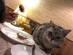 -隅cafe(傅厚岗店)
