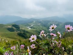 -灵山