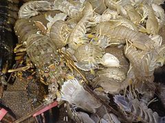 -三个渔夫·蒸汽海鲜(小白楼店)