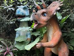 -呀路古热带植物园