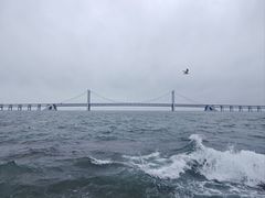 -星海广场