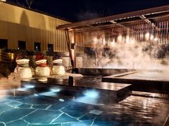 -清河半岛温泉度假酒店