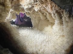 -湖南省地质博物馆