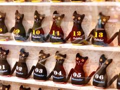 -猫咪博物馆(顶澳仔猫街店)
