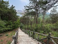 -青龙山国家森林公园