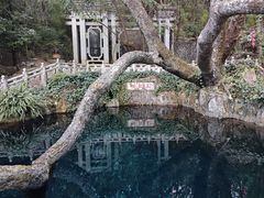 -蝴蝶泉公园