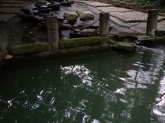 -成都市活水公园