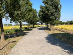 -莲花岛景区