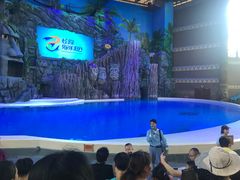 -珠海横琴长隆《卡卡虎奇遇记》