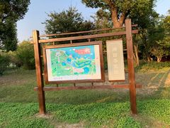 -鹅湖玫瑰文化园