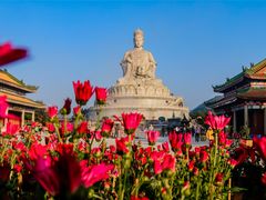 -东莞观音山旅游风景区