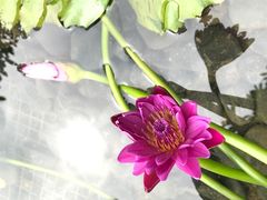 -台山颐和温泉城