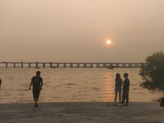 -宝安西湾红树林湿地公园