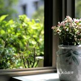 今日分享[礼花]寒冬渐进，一扇断桥铝门窗不可或缺！