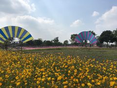 -歌斐颂巧克力小镇